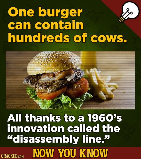 One burger can contain hundreds of cows. All thanks to a 1960's innovation called the disassembly line. NOW YOU KNOW CRACKED.COM