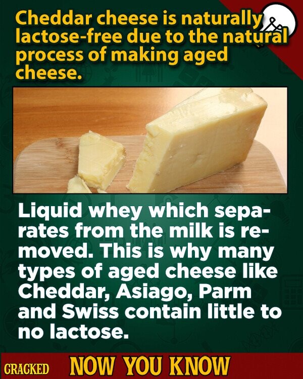 Cheddar cheese is naturally lactose-free due to the natural process of making aged cheese. Liquid whey which sepa- rates from the milk is re- moved. This is why many types of aged cheese like Cheddar, Asiago, Parm and Swiss contain little to no lactose. CRACKED NOW YOU KNOW