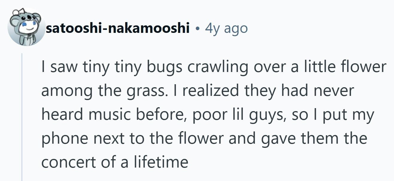 satooshi-nakamooshi . 4y ago I saw tiny tiny bugs crawling over a little flower among the grass. I realized they had never heard music before, poor lil guys, so I put my phone next to the flower and gave them the concert of a lifetime 