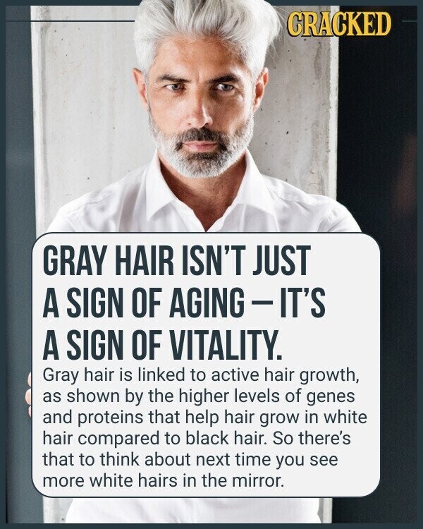 CRACKED GRAY HAIR ISN'T JUST A SIGN OF AGING - IT'S A SIGN OF VITALITY. Gray hair is linked to active hair growth, as shown by the higher levels of genes and proteins that help hair grow in white hair compared to black hair. So there's that to think about next time you see more white hairs in the mirror.