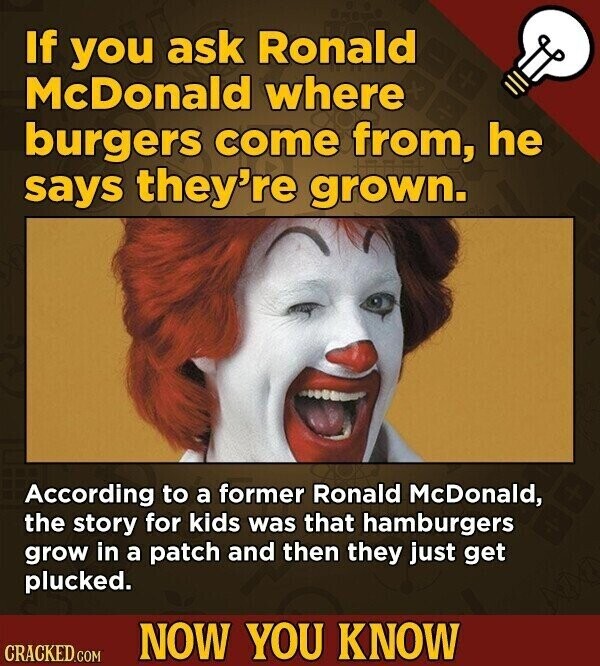 If you ask Ronald McDonald where burgers come from, he says they're grown. According to a former Ronald McDonald, the story for kids was that hamburgers grow in a patch and then they just get plucked. NOW YOU KNOW CRACKED.COM