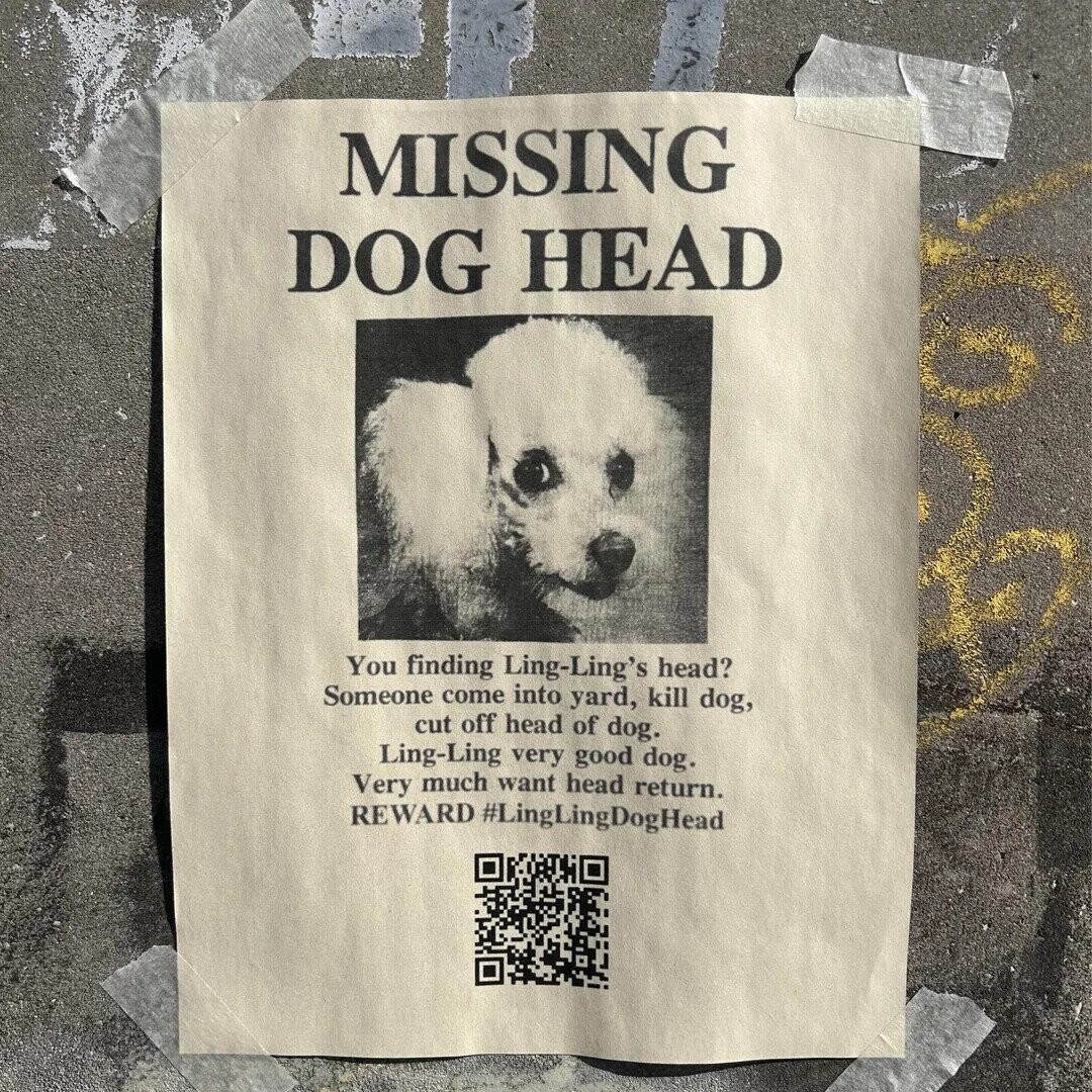 Photos Where Florida Shows Off its True Colors