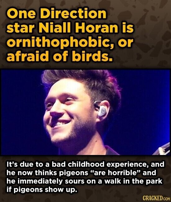 One Direction star Niall Horan is ornithophobic, or afraid of birds. It's due to a bad childhood experience, and he now thinks pigeons are horrible and he immediately sours on a walk in the park if pigeons show up. CRACKED.COM