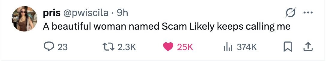 pris @pwiscila . 9h A beautiful woman named Scam Likely keeps calling me 23 2.3K 25K 374K