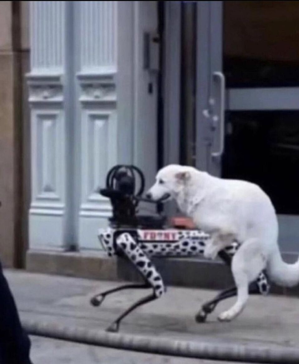 Photos Showing Common Sense Left Humanity Behind