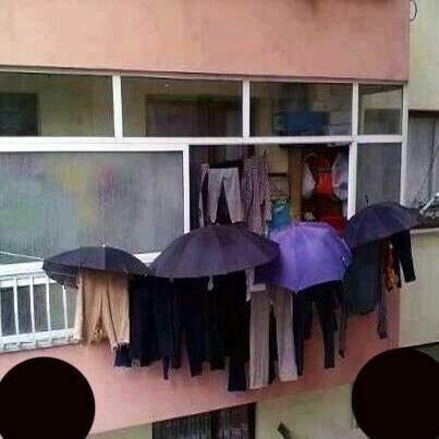 Photos Showing Common Sense is Kinda Rare