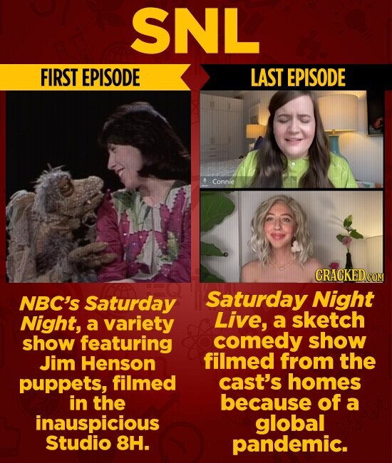 SNL FIRST EPISODE LAST EPISODE Connie CRACKED.COM Saturday Night NBC's Saturday Live, a sketch Night, a variety comedy show show featuring filmed from the Jim Henson cast's homes puppets, filmed because of a in the inauspicious global Studio 8H. pandemic.