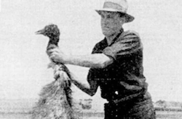 20 Wars Started for the Pettiest Reasons