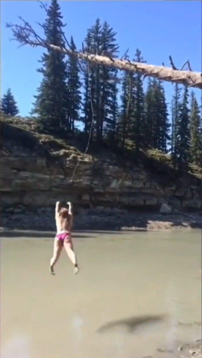 Tk Pics Where Nobody Put a Stop to the Proceedings