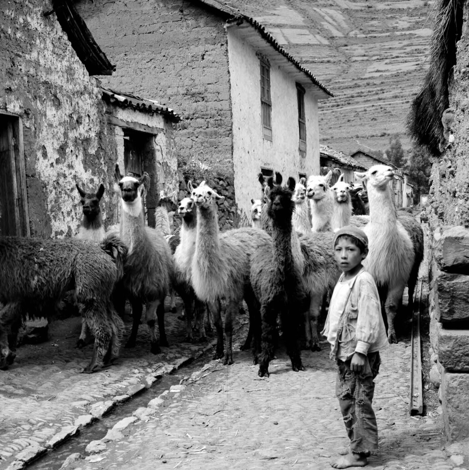 ’50s Photos Showing Not Everything Was Strait Laced