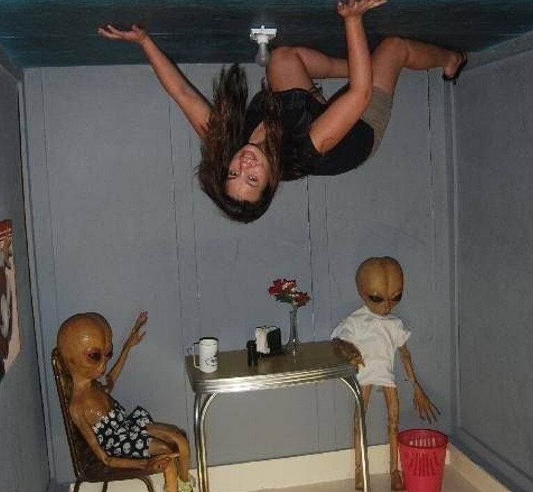 Photos Showing Common Sense Left Humanity Behind