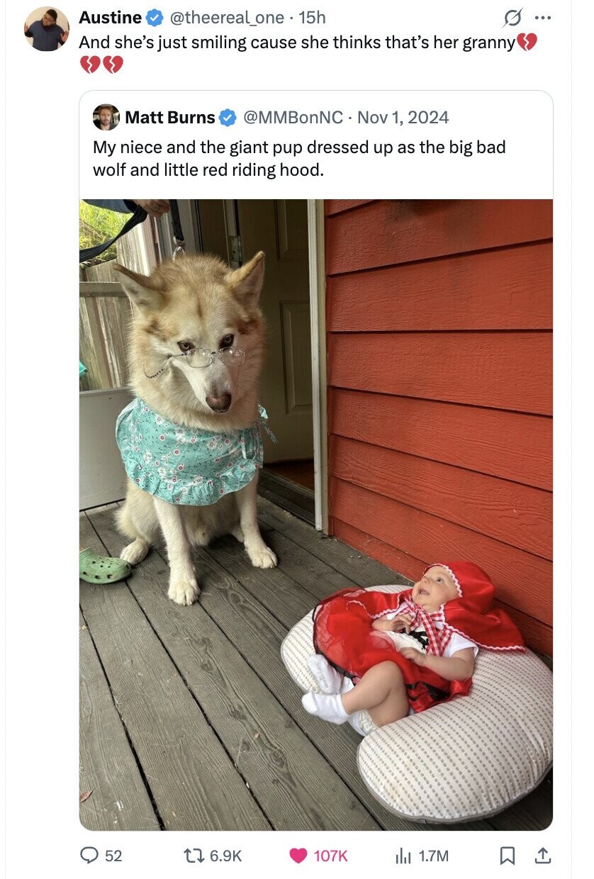 Austine @theereal_one. 15h ... And she's just smiling cause she thinks that's her granny Matt Burns @MMBonNC Nov 1, 2024 My niece and the giant pup dressed up as the big bad wolf and little red riding hood. 52 6.9K 107K del 1.7M