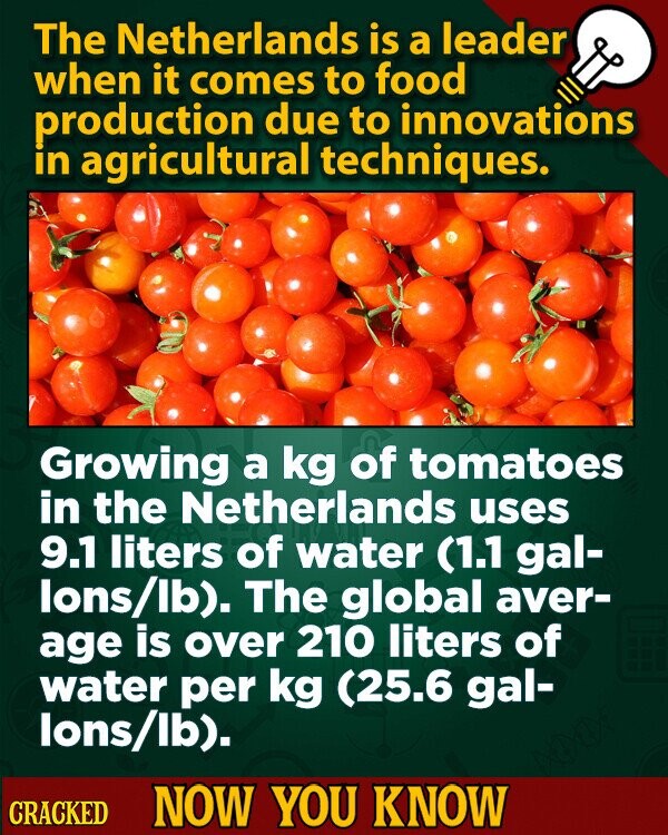 The Netherlands is a leader when it comes to food production due to innovations in agricultural techniques. Growing a kg of tomatoes in the Netherlands uses 9.1 liters of water (1.1 gal- lons/lb). The global aver- age is over 210 liters of water per kg (25.6 gal- lons/lb). CRACKED NOW YOU KNOW