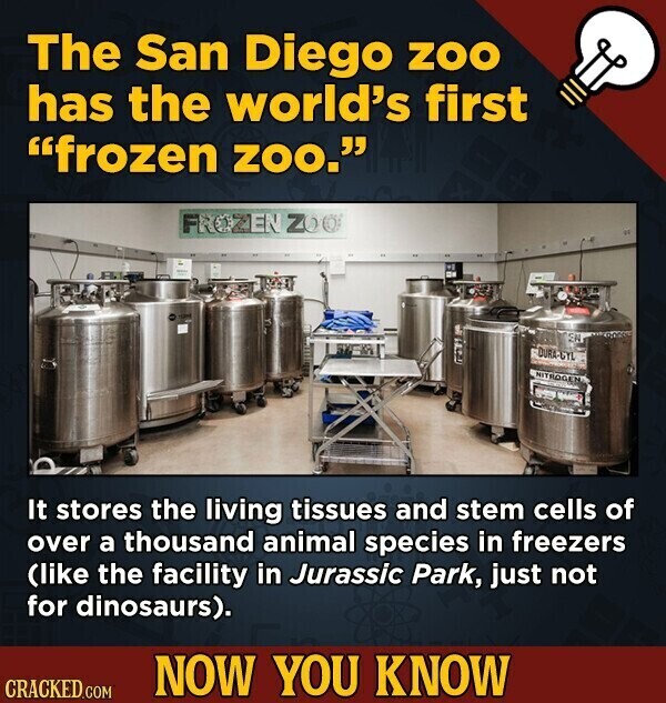 The San Diego ZOO has the world's first frozen zoo. FROZEN ZOO SK DORA-GYL NITROGEN It stores the living tissues and stem cells of over a thousand animal species in freezers (like the facility in Jurassic Park, just not for dinosaurs). NOW YOU KNOW CRACKED.COM