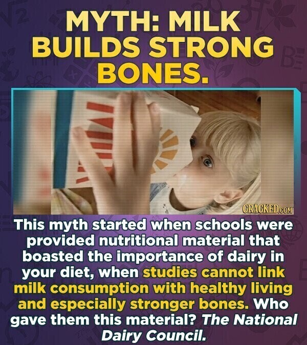 MYTH: MILK BUILDS STRONG BE BONES. CRACKED.COM This myth started when schools were provided nutritional material that boasted the importance of dairy in your diet, when studies cannot link milk consumption with healthy living and especially stronger bones. Who gave them this material? The National Dairy Council.