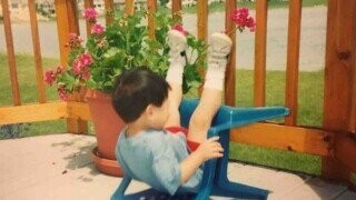 Ding-Dong Photos Of Ding-Dongs