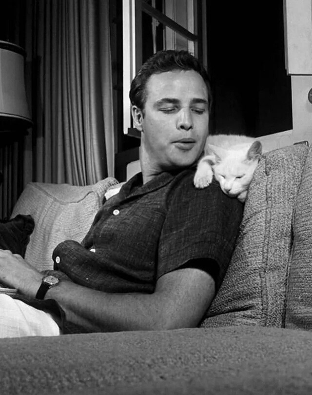 Marlon Brando Photos from 'The Godfather' and Beyond