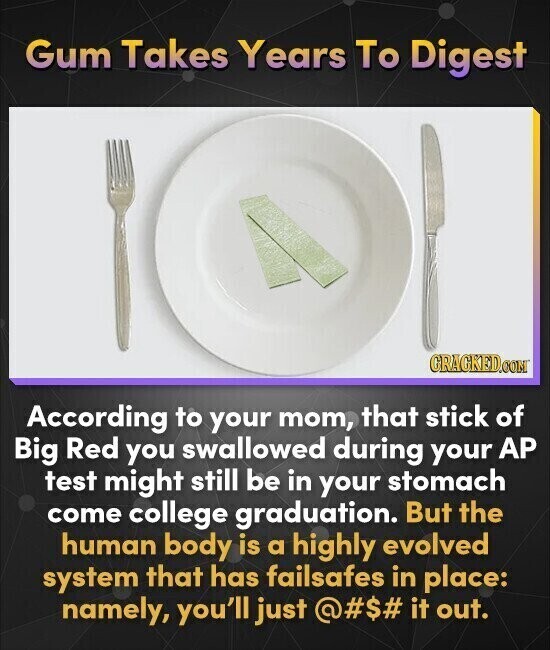 Gum Takes Years To Digest GRACKED.COM According to your mom, that stick of Big Red you swallowed during your AP test might still be in your stomach come college graduation. But the human body is a highly evolved system that has failsafes in place: namely, you'll just @#$# it out.
