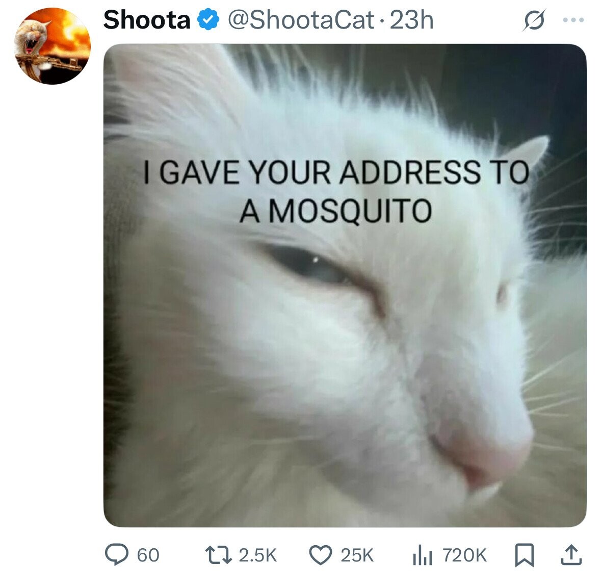 Shoota @ShootaCat.23h ... I GAVE YOUR ADDRESS TO A MOSQUITO 60 2.5K 25K del 720K