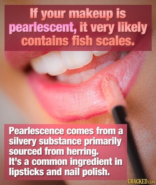 If your makeup is pearlescent, it very likely contains fish scales. Pearlescence comes from a silvery substance primarily sourced from herring. It's a common ingredient in lipsticks and nail polish. CRACKED.COM