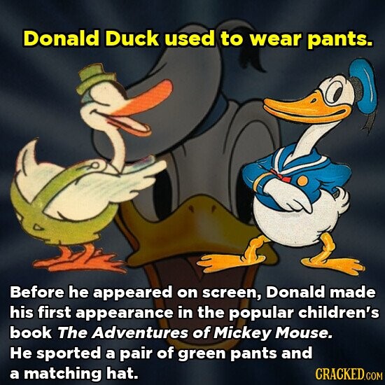 Donald Duck used to wear pants. Before he appeared on screen, Donald made his first appearance in the popular children's book The Adventures of Mickey Mouse. Не sported a pair of green pants and a matching hat. CRACKED.COM