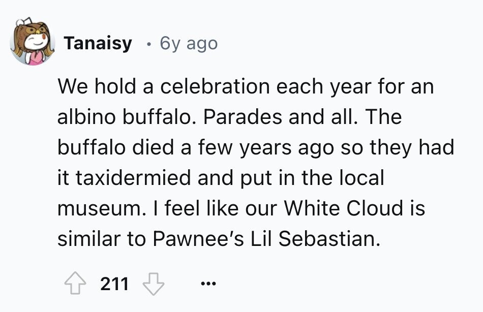 Tanaisy 6y ago We hold a celebration each year for an albino buffalo. Parades and all. The buffalo died a few years ago so they had it taxidermied and put in the local museum. I feel like our White Cloud is similar to Pawnee's Lil Sebastian. 211 ... 