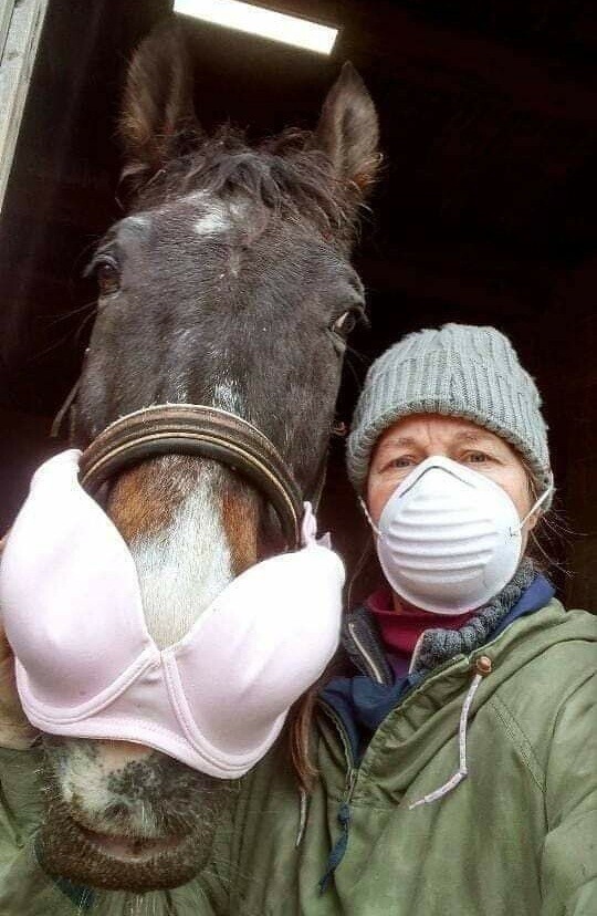 Photos Where Common Sense Threw in the Towel