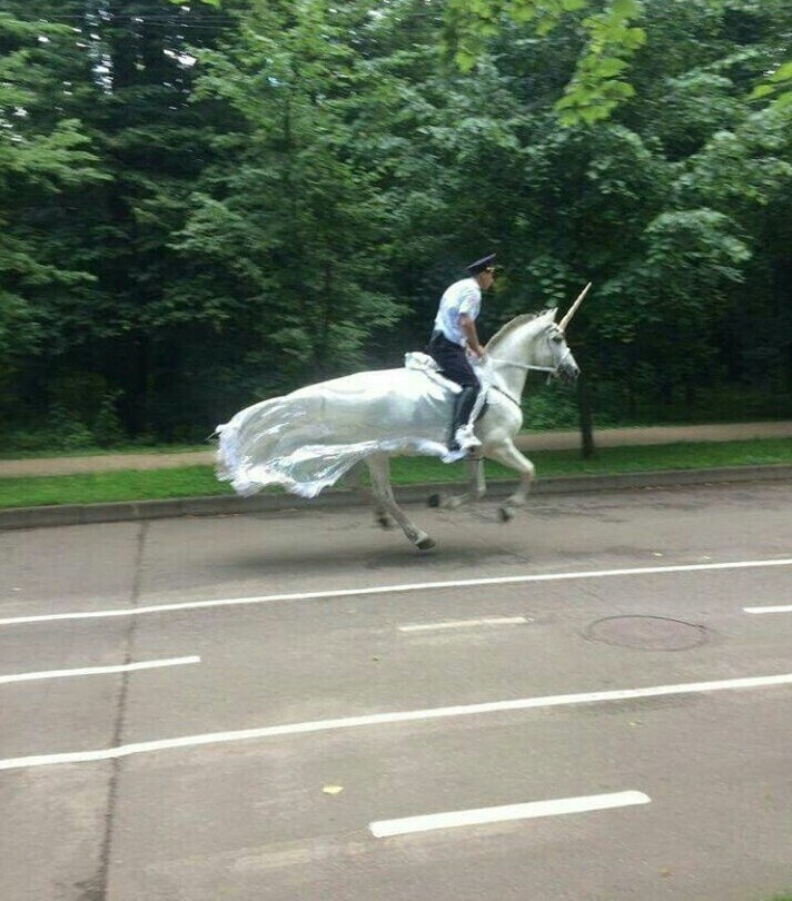 Photos Showing Common Sense Left Humanity Behind