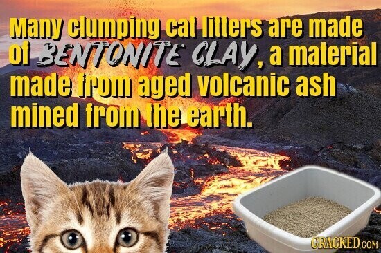 Many clumping cat litters are made of BENTONITE CLAY, a material made from aged volcanic ash mined from the earth. GRACKED.COM