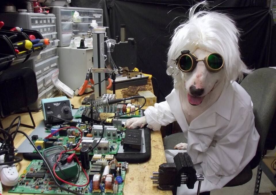 Photos Showing Common Sense Left Humanity Behind