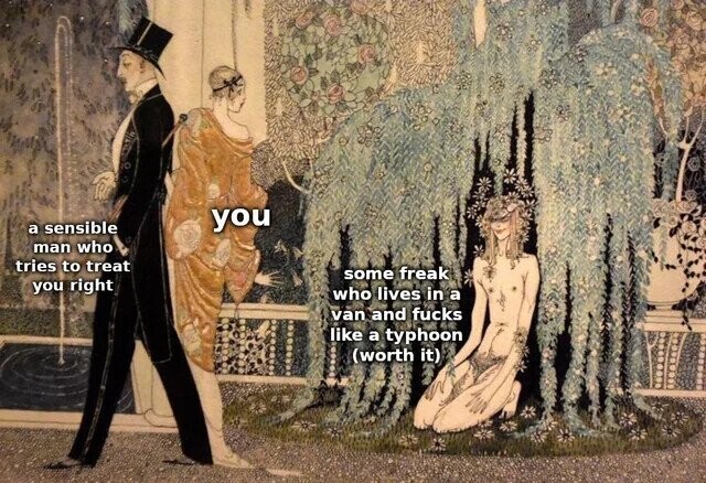 you a sensible man who tries to treat some freak you right who lives in a van and fucks like a typhoon (worth it) 