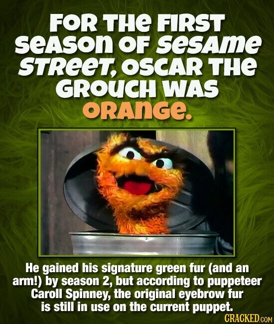 FOR THe FIRST SEASON OF SESAME STREET, OSCAR THe GROUCH WAS ORANGE. Не gained his signature green fur (and an arm!) by season 2, but according to puppeteer Caroll Spinney, the original eyebrow fur is still in use on the current puppet. CRACKED.COM