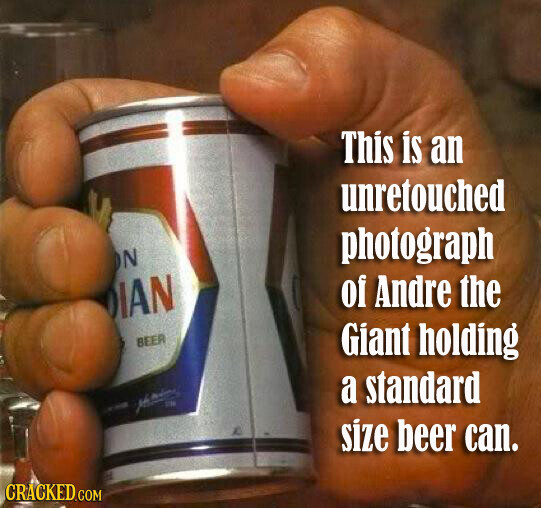This is an unretouched photograph N of Andre the IAN BEER Giant holding a standard مصر IN size beer can. CRACKED.COM