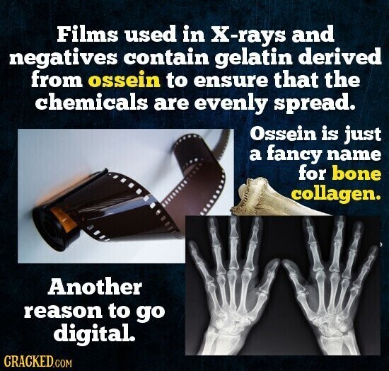 Films used in X-rays and negatives contain gelatin derived from ossein to ensure that the chemicals are evenly spread. Ossein is just a fancy name for bone collagen. Another reason to go digital. CRACKED.COM