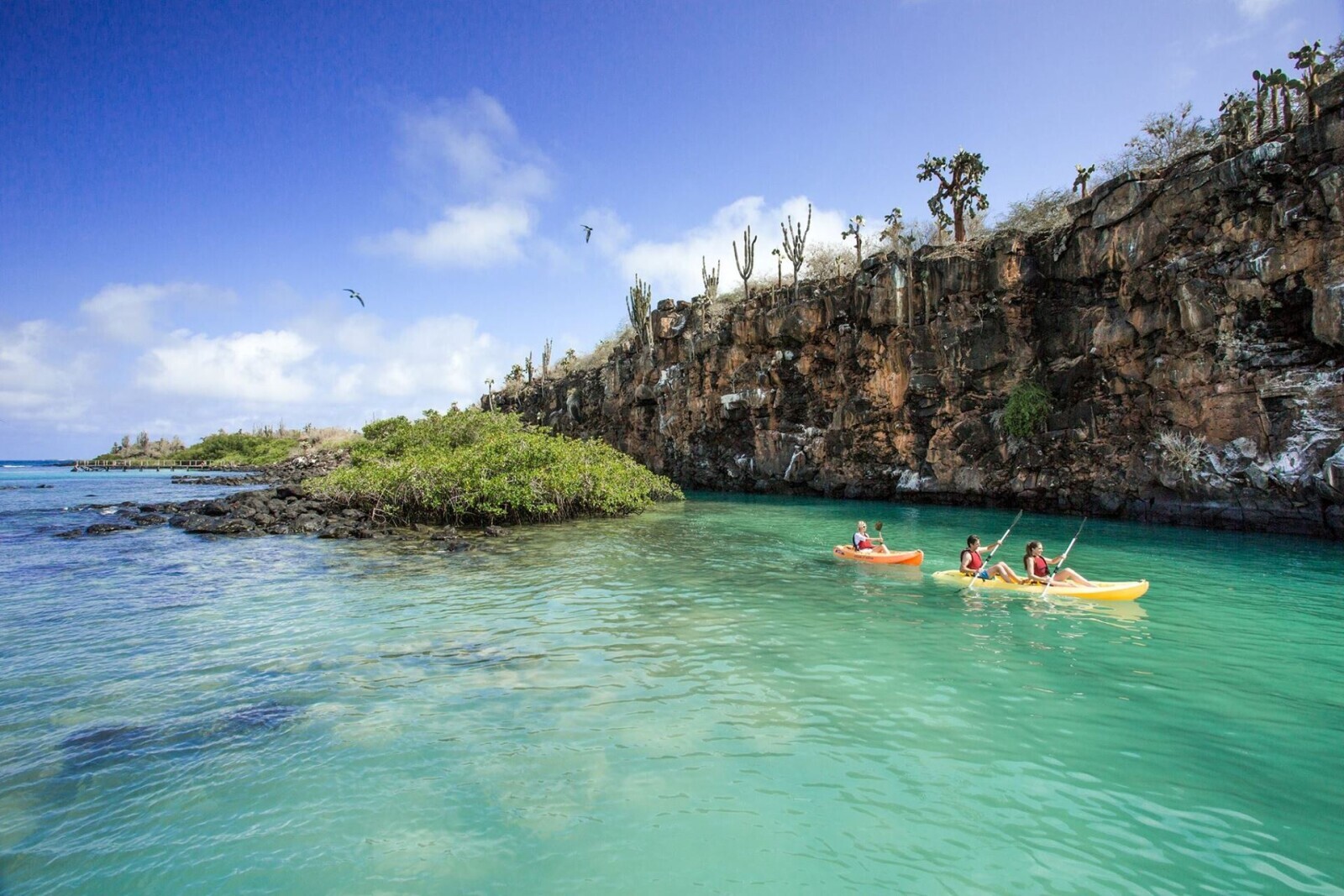 20 Photos of Summer Happening in the 'Winter Months'