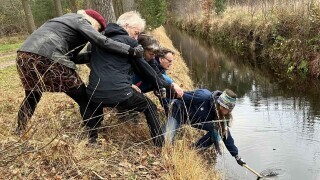 Photos That Get Stranger the Closer You Look