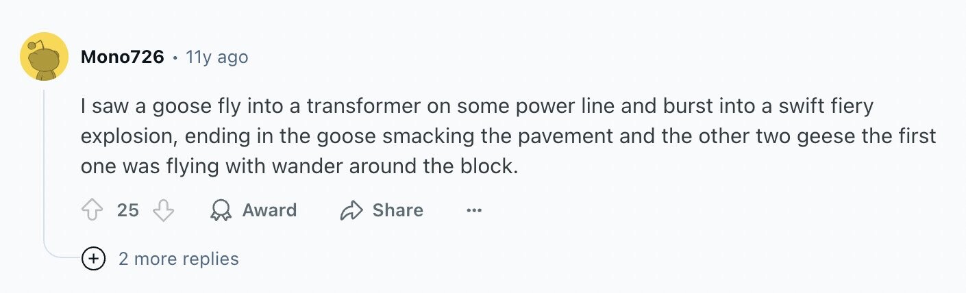 Mono726 11y ago | saw a goose fly into a transformer on some power line and burst into a swift fiery explosion, ending in the goose smacking the pavement and the other two geese the first one was flying with wander around the block. 25 Award Share ... + 2 more replies