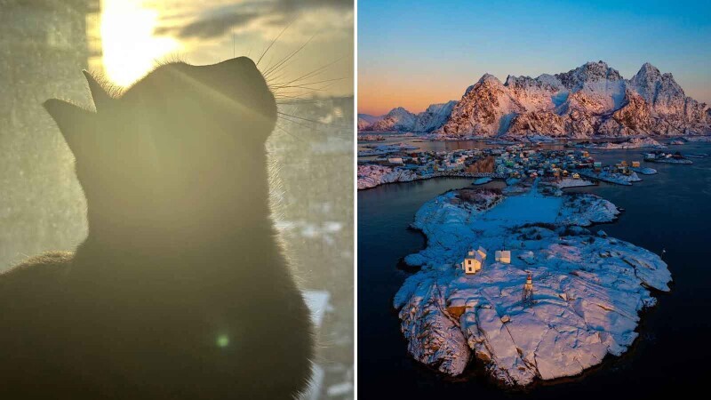 Photos That Are Too Good to Scroll Past