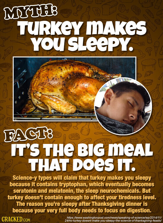MYTH: TURKEY MAKES YOU SLEEPY. FACT: IT'S THE BIG meAL THAT Does IT. Science-y types will claim that turkey makes you sleepy because it contains tryptophan, which eventually becomes seratonin and melatonin, the sleep neurochemicals. But turkey doesn't contain enough to affect your tiredness level. The reason you're sleepy after Thanksgiving dinner is because your very full body needs to focus on digestion. https://www.washingtonpost.com/news/speaking-of-science/wp/2014/11/ CRACKED.COM 24/no-turkey-doesnt-make-you-sleepy-the-science-of-thanksgiving-feasts/