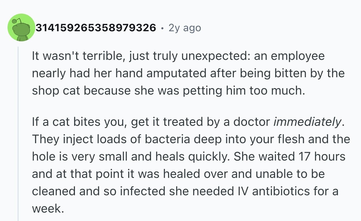 314159265358979326 2y ago It wasn't terrible, just truly unexpected: an employee nearly had her hand amputated after being bitten by the shop cat because she was petting him too much. If a cat bites you, get it treated by a doctor immediately. They inject loads of bacteria deep into your flesh and the hole is very small and heals quickly. She waited 17 hours and at that point it was healed over and unable to be cleaned and so infected she needed IV antibiotics for a week.