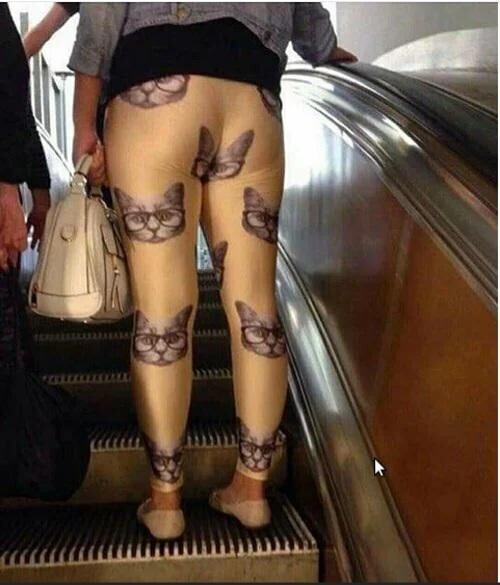 Photos Where the Situation on Hand Needs Analysis