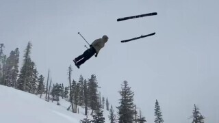 Tk Pics Where Nobody Put a Stop to the Proceedings