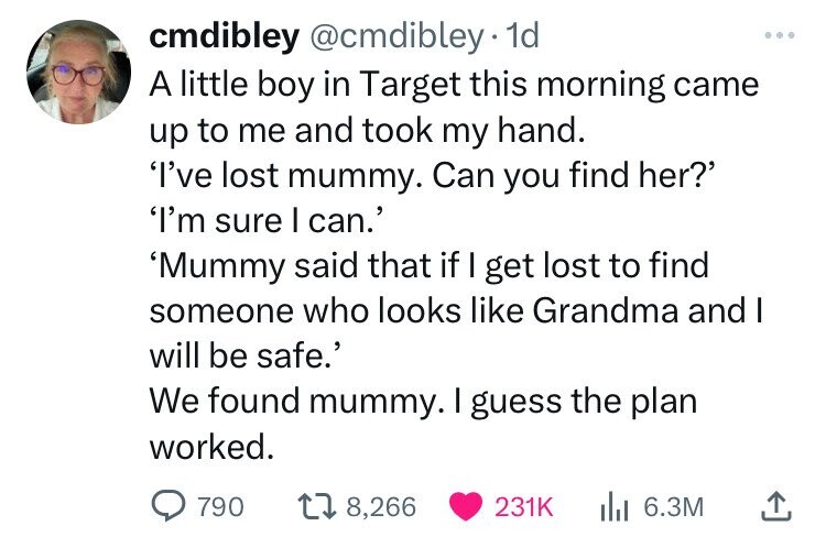 cmdibley @cmdibley 1d ... A little boy in Target this morning came up to me and took my hand. 'I've lost mummy. Can you find her?' 'I'm sure I can.' 'Mummy said that if I get lost to find someone who looks like Grandma and I will be safe.' We found mummy. I guess the plan worked. 790 8,266 231K 6.3M