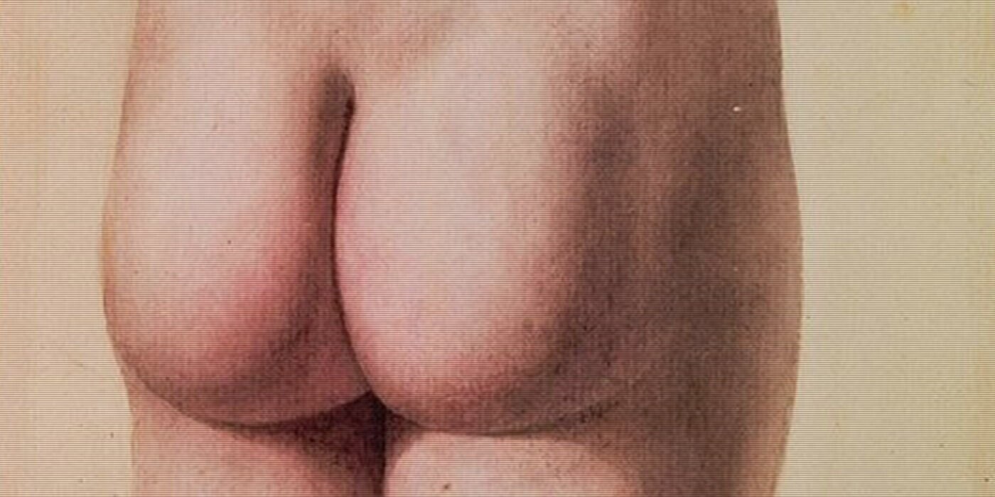 12 Farm-Fresh Trivia Tidbits for Tuesday, November 5, 2024