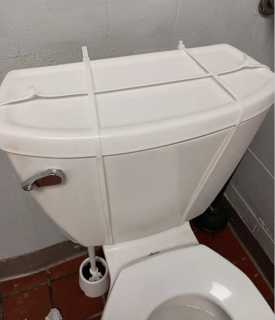 Photos Where Florida Shows Off its True Colors