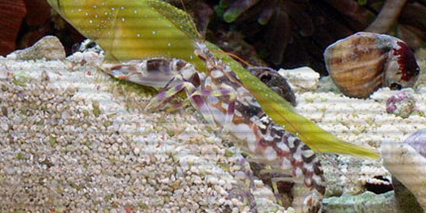 12 Farm-Fresh Trivia Tidbits for Tuesday, November 5, 2024