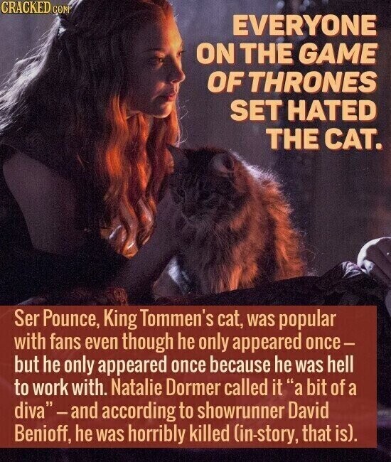 CRACKED COM EVERYONE ON THE GAME OF THRONES SET HATED THE CAT. Ser Pounce, King Tommen's cat, was popular with fans even though he only appeared once- but he only appeared once because he was hell to work with. Natalie Dormer called it a bit of a diva -and according to showrunner David Benioff, he was horribly killed (in-story, that is).