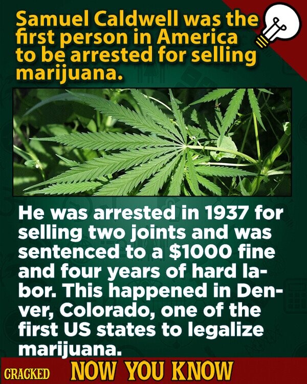Samuel Caldwell was the first person in America to be arrested for selling marijuana. Не was arrested in 1937 for selling two joints and was sentenced to a $1000 fine and four years of hard la- bor. This happened in Den- ver, Colorado, one of the first US states to legalize marijuana. CRACKED NOW YOU KNOW
