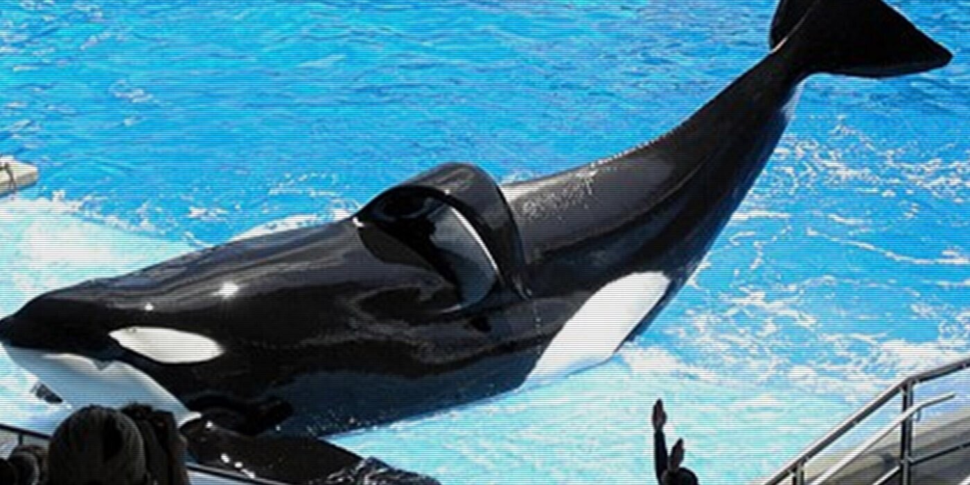 12 Farm-Fresh Trivia Tidbits for Tuesday, November 5, 2024