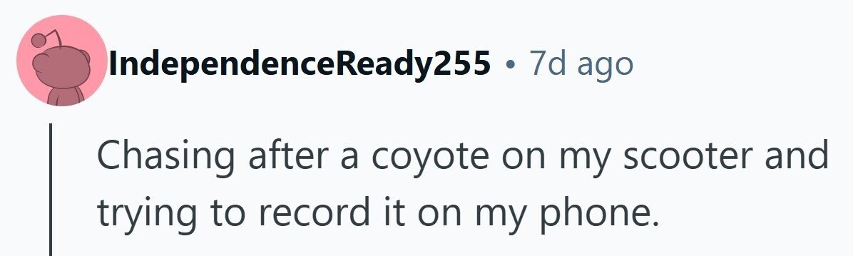 IndependenceReady255 . 7d ago Chasing after a coyote on my scooter and trying to record it on my phone. 